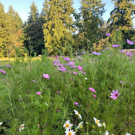Maison Dans Parc Prive, Sports Et Loisirs Proche Golf Du Coudray Montceaux Le Coudray-Montceaux Zewnętrze zdjęcie