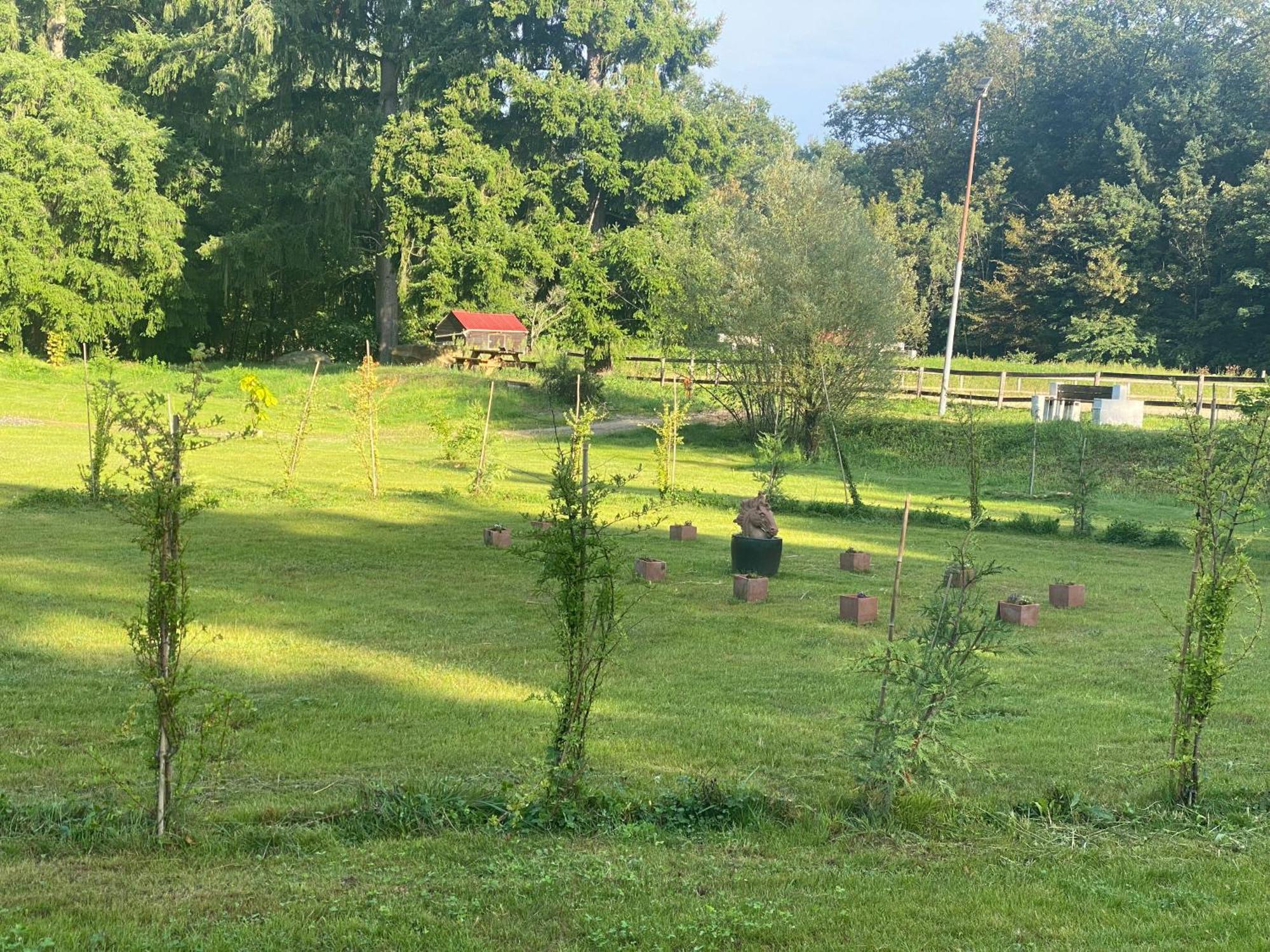 Maison Dans Parc Prive, Sports Et Loisirs Proche Golf Du Coudray Montceaux Le Coudray-Montceaux Zewnętrze zdjęcie