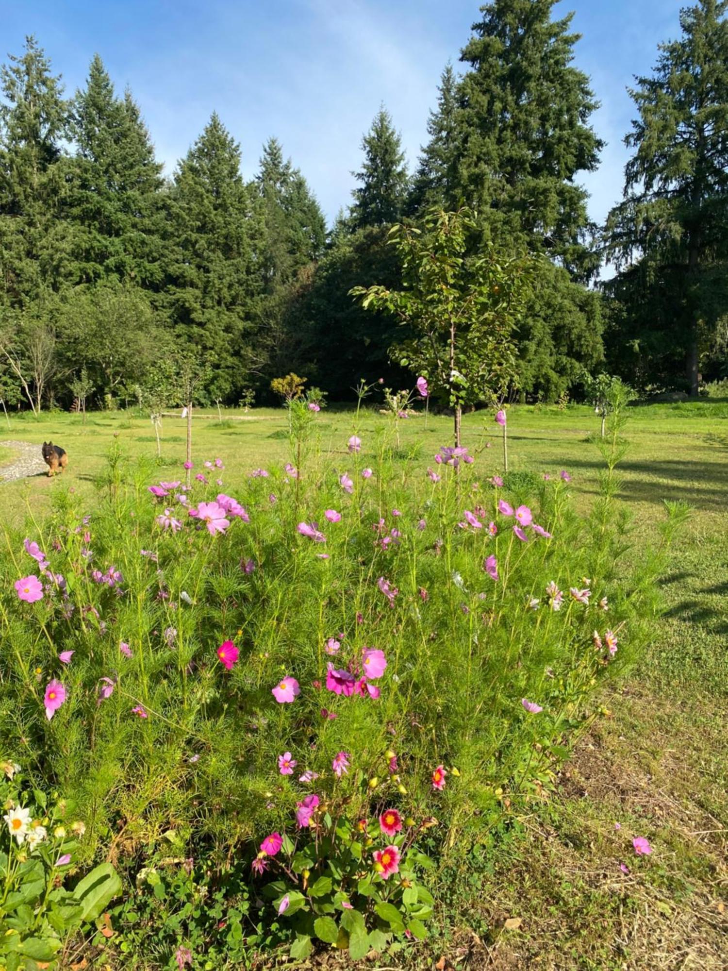 Maison Dans Parc Prive, Sports Et Loisirs Proche Golf Du Coudray Montceaux Le Coudray-Montceaux Zewnętrze zdjęcie
